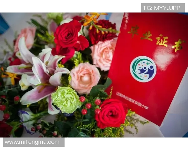 与杨娜畅谈英雄联盟职业生涯的点滴与成长之路实时数据